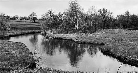 фото: Комишувата